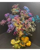 FLORS LIOFILITZADES I SEQUES