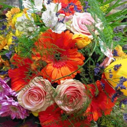 Bouquet gerberas
