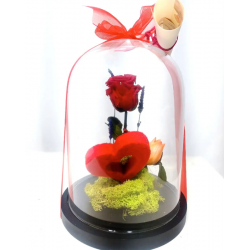 Rosa Eterna amb Cupúla