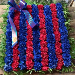 Coixi funerari del Barça