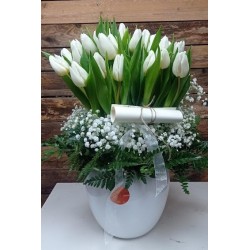 Centre de tulipes blanques