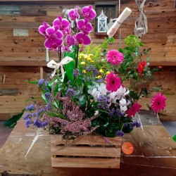 Caja madera plantas y flor...