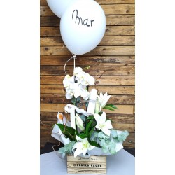 Centro caja Orquídia y flor
