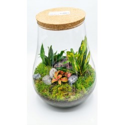 Terrari GRAN