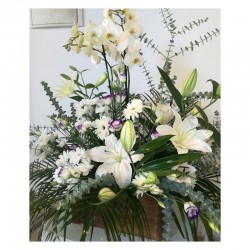 Centre d'orquídia i flor