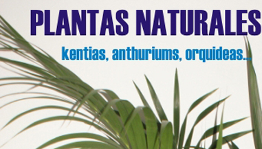 Plantas Naturales