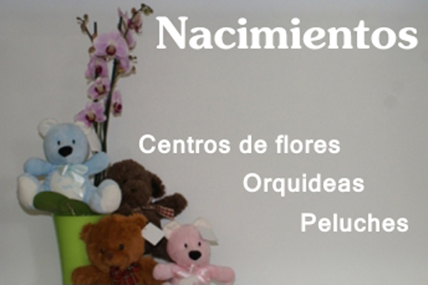 Nacimientos