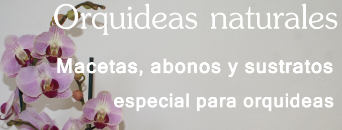Orquideas